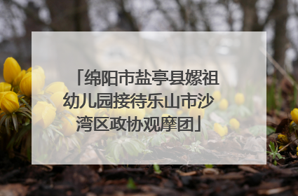 绵阳市盐亭县嫘祖幼儿园接待乐山市沙湾区政协观摩团