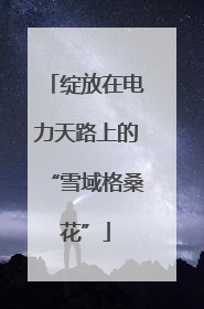 绽放在电力天路上的“雪域格桑花”