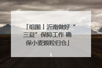 组图丨沂南做好“三夏”保障工作 确保小麦颗粒归仓