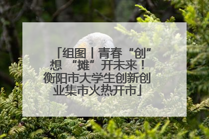组图丨青春“创”想 “摊”开未来！衡阳市大学生创新创业集市火热开市