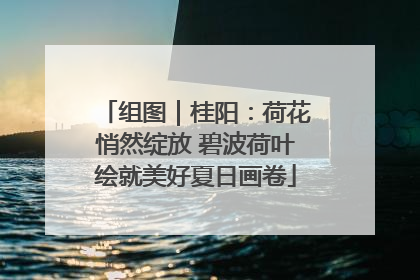 组图｜桂阳：荷花悄然绽放 碧波荷叶绘就美好夏日画卷