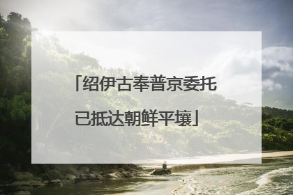 绍伊古奉普京委托已抵达朝鲜平壤
