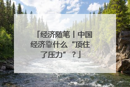 经济随笔丨中国经济靠什么“顶住了压力”？
