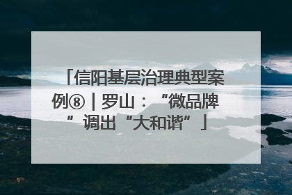信阳基层治理典型案例⑧｜罗山：“微品牌”调出“大和谐”