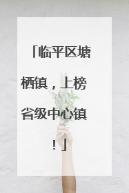 临平区塘栖镇，上榜省级中心镇！