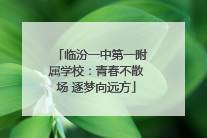 临汾一中第一附属学校：青春不散场 逐梦向远方