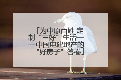 为中原百姓 定制“三好”生活——中国电建地产的“好房子”答卷