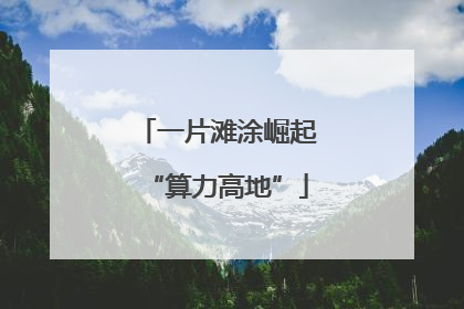 一片滩涂崛起“算力高地”