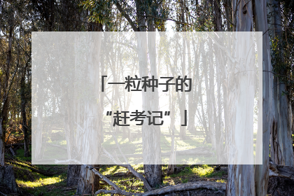 一粒种子的“赶考记”