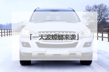 一大波螳螂来袭