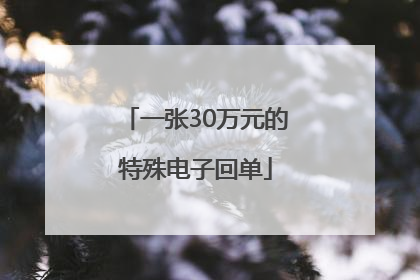一张30万元的特殊电子回单