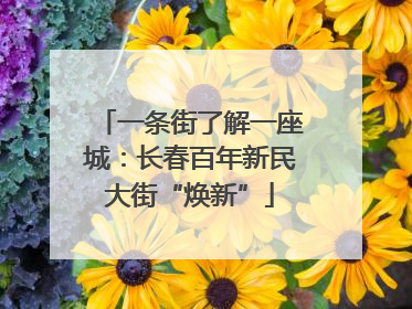一条街了解一座城：长春百年新民大街“焕新”