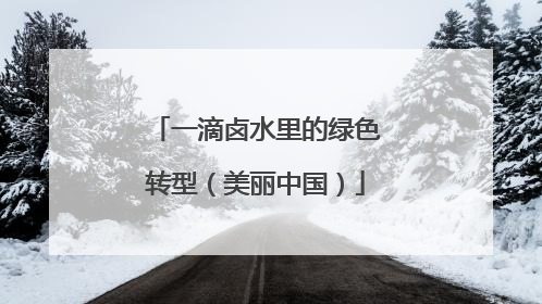 一滴卤水里的绿色转型（美丽中国）