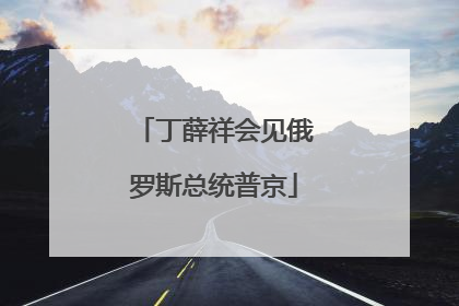 丁薛祥会见俄罗斯总统普京