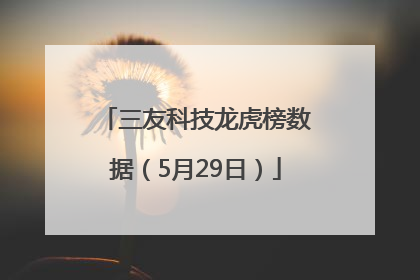 三友科技龙虎榜数据（5月29日）