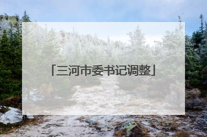 三河市委书记调整