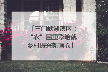 三门峡湖滨区：“农”墨重彩绘就乡村振兴新画卷