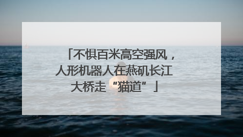 不惧百米高空强风，人形机器人在燕矶长江大桥走“猫道”