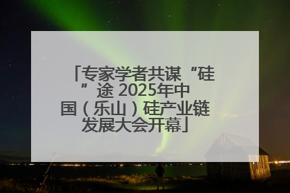 专家学者共谋“硅”途 2025年中国（乐山）硅产业链发展大会开幕
