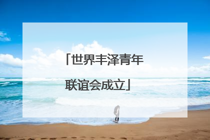 世界丰泽青年联谊会成立