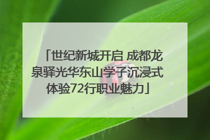 世纪新城开启 成都龙泉驿光华东山学子沉浸式体验72行职业魅力