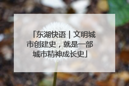 东湖快语｜文明城市创建史，就是一部城市精神成长史