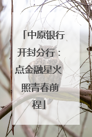 中原银行开封分行：点金融星火 照青春前程