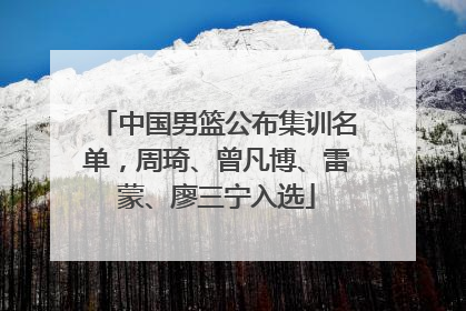 中国男篮公布集训名单，周琦、曾凡博、雷蒙、廖三宁入选