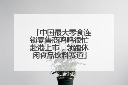 中国最大零食连锁零售商鸣鸣很忙赴港上市，领跑休闲食品饮料赛道