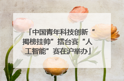 中国青年科技创新“揭榜挂帅”擂台赛“人工智能”赛在沪举办