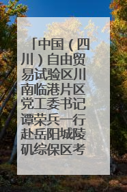 中国（四川）自由贸易试验区川南临港片区党工委书记谭荣兵一行赴岳阳城陵矶综保区考察