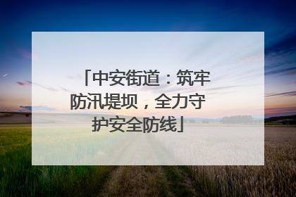 中安街道：筑牢防汛堤坝，全力守护安全防线