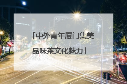 中外青年厦门集美品味茶文化魅力