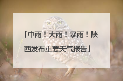 中雨！大雨！暴雨！陕西发布重要天气报告