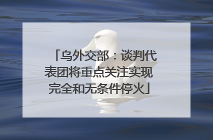 乌外交部：谈判代表团将重点关注实现完全和无条件停火