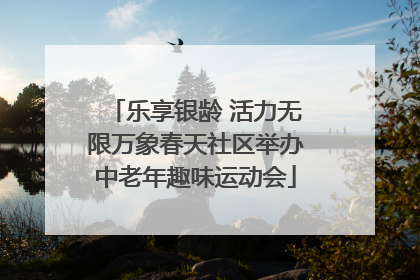 乐享银龄 活力无限万象春天社区举办中老年趣味运动会