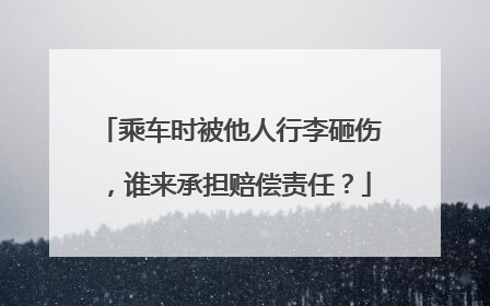 乘车时被他人行李砸伤，谁来承担赔偿责任？