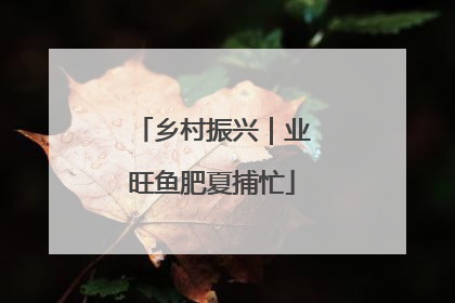 乡村振兴｜业旺鱼肥夏捕忙