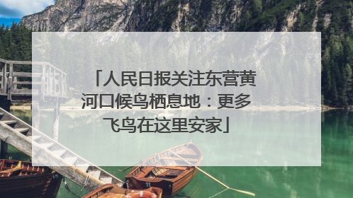 人民日报关注东营黄河口候鸟栖息地：更多飞鸟在这里安家