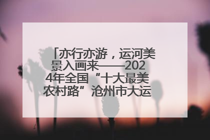 亦行亦游，运河美景入画来——2024年全国“十大最美农村路”沧州市大运河堤顶路探访