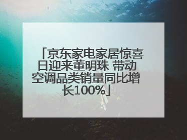 京东家电家居惊喜日迎来董明珠 带动空调品类销量同比增长100%