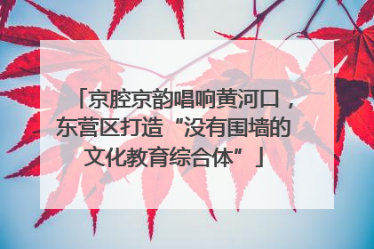 京腔京韵唱响黄河口，东营区打造“没有围墙的文化教育综合体”