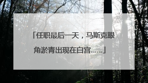 任职最后一天，马斯克眼角淤青出现在白宫……