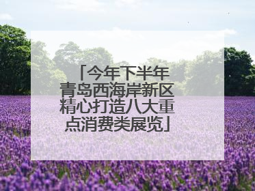 今年下半年 青岛西海岸新区精心打造八大重点消费类展览