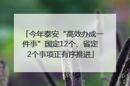 今年泰安“高效办成一件事”国定12个、省定2个事项正有序推进