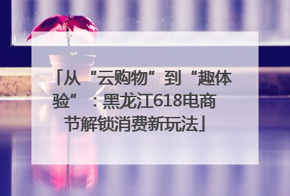 从“云购物”到“趣体验”：黑龙江618电商节解锁消费新玩法