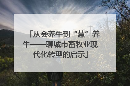 从会养牛到“慧”养牛——聊城市畜牧业现代化转型的启示
