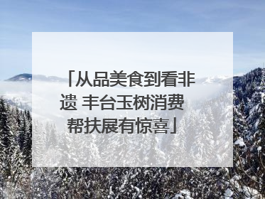 从品美食到看非遗 丰台玉树消费帮扶展有惊喜