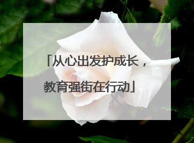从心出发护成长，教育强街在行动
