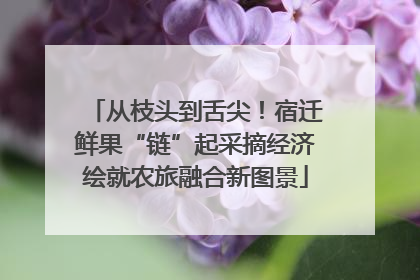从枝头到舌尖！宿迁鲜果“链”起采摘经济绘就农旅融合新图景